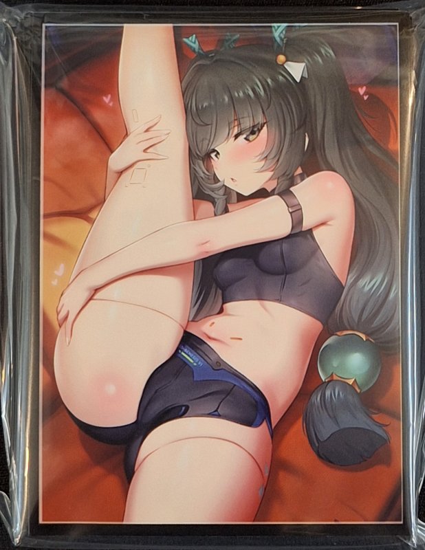 画像1: ミッドナイトブルー カードスリーブ　ゼンレスゾーンゼロ 青衣 A (1)