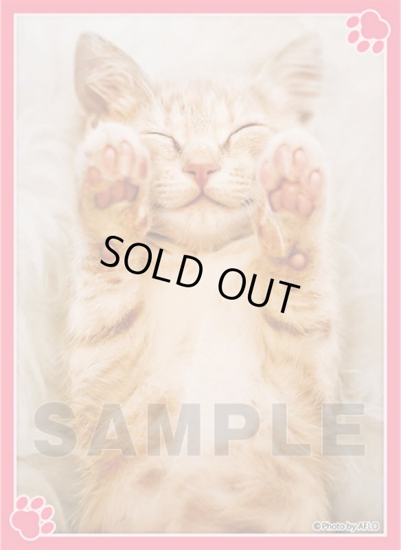 画像1: E賞：キャラクタースリーブEX 「にっこり」 (1)