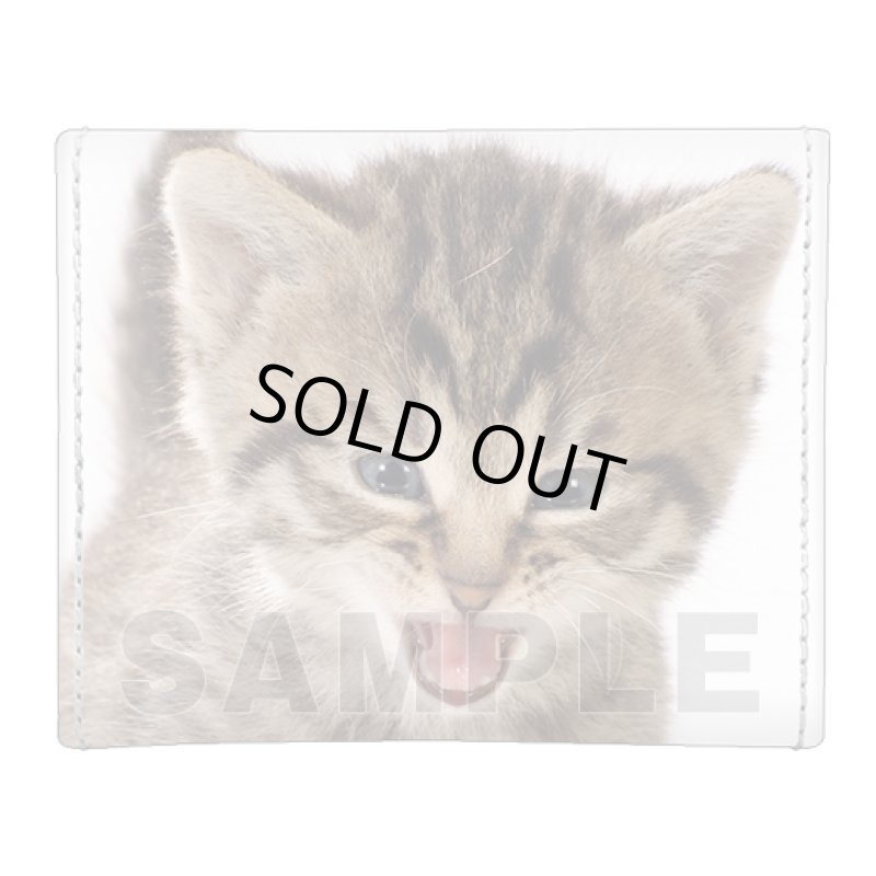 画像2: B賞：合皮製デッキケース 「子猫」 (2)