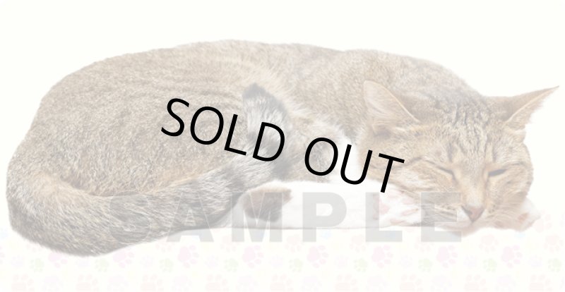 画像1: C賞：ラバープレイマットスリム 「キジトラ」 (1)