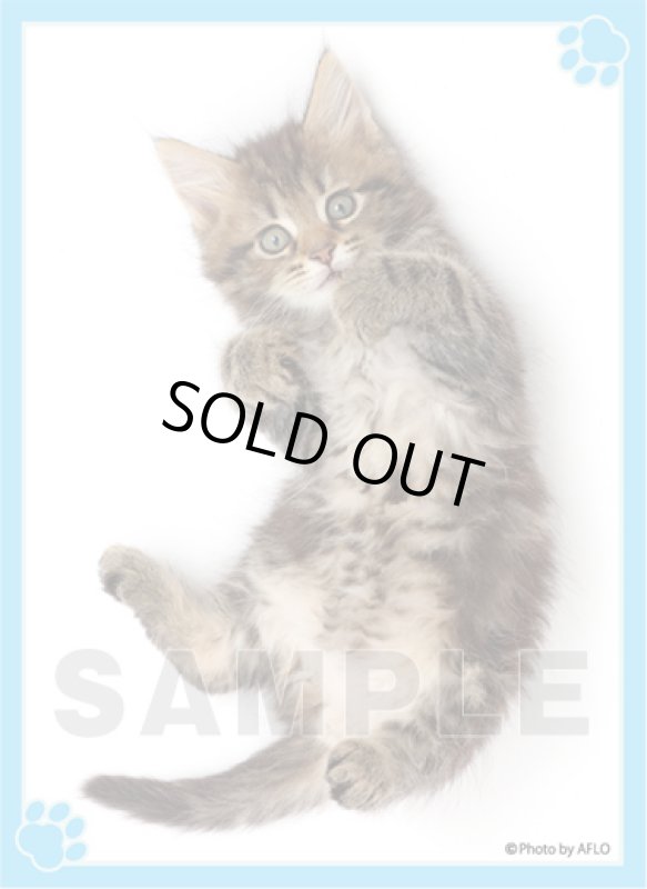 画像1: E賞：キャラクタースリーブEX 「おなかは触るニャよ？」 (1)