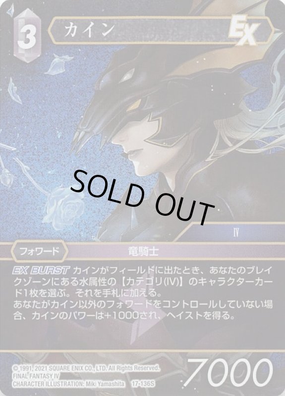 画像1: プレミアム 17-136S カイン (1)