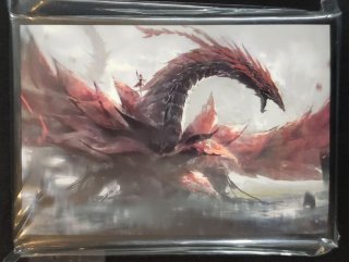 遊戯王　ディープアイズ・ホワイト・ドラゴン EATOS スリーブ EATOS ミニカードスリーブ 遊戯王 ディープアイズ・ホワイト