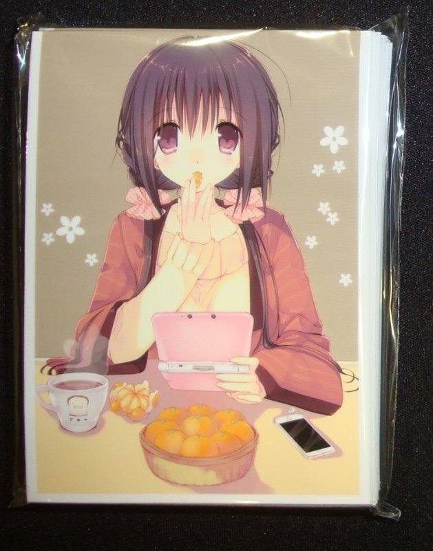 画像1: 高苗床 カードスリーブ　B (1)