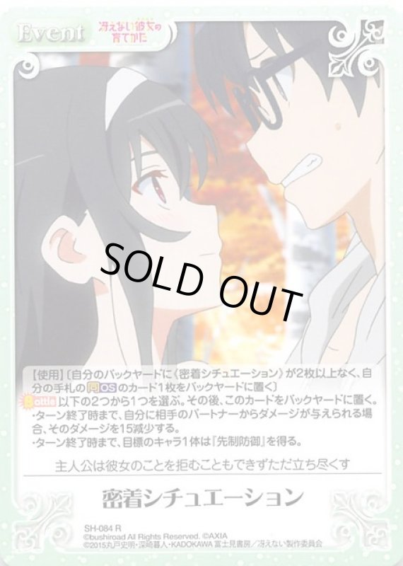 画像1: SH-084 R 密着シチュエーション (1)