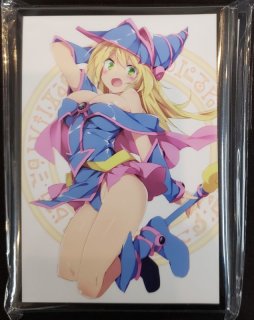 混沌の女神様 カードスリーブ ブルーアーカイブ シロコテラー B - TCG