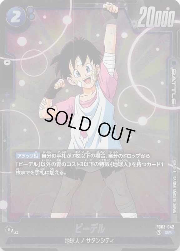 画像1: FB03-042 SR ビーデル (1)