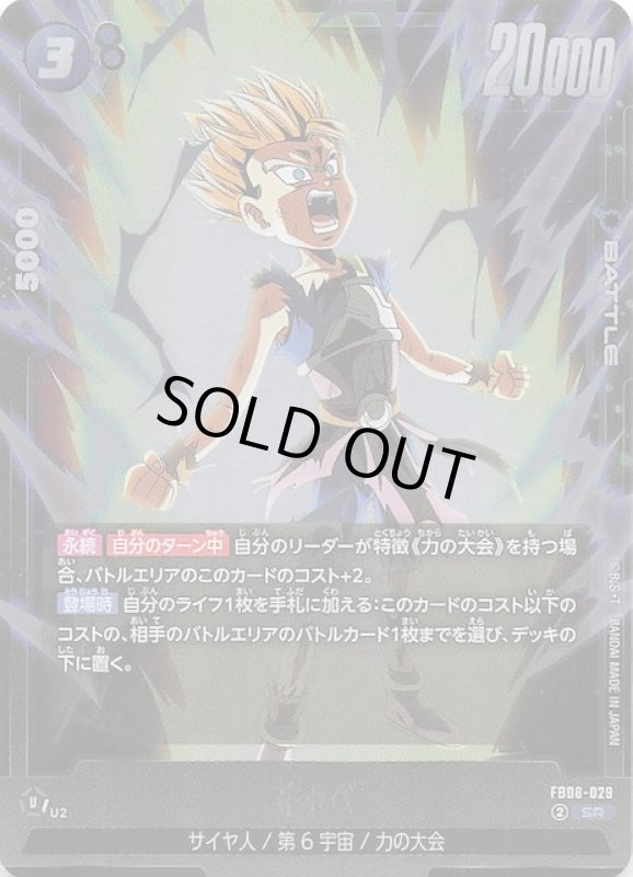 画像1: FB08-029 SR キャベ (1)