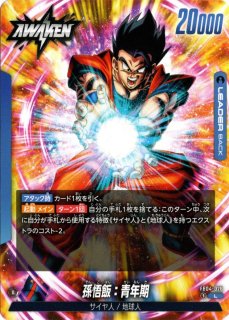 パラレル FB10-057 R☆ 孫悟飯：青年期/ピッコロ - TCGショップ NOAH