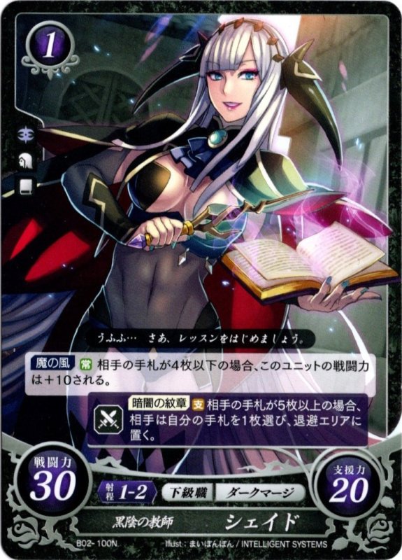画像1: B02-100 N 黒陰の教師 シェイド (1)