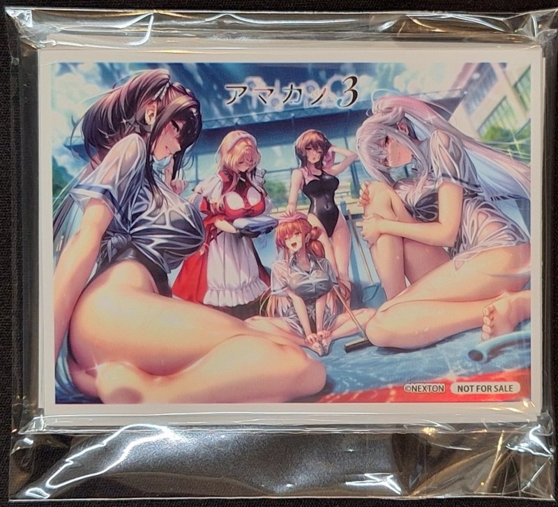 画像1: Lycee Overture Ver.ネクストン 4.0 予約特典 限定スリーブ20枚＋PRカード1枚 (1)