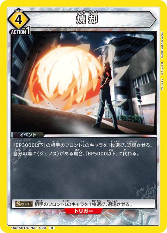 画像1: UA35BT/OPM-1-029 R 焼却 (1)