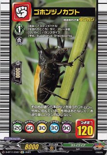 D-BT11/EX10 EX 甲虫王者 ムシキング - TCGショップ NOAH