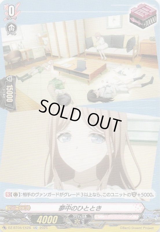 画像1: DZ-BT08/EX28 EXC 夢中のひととき (1)