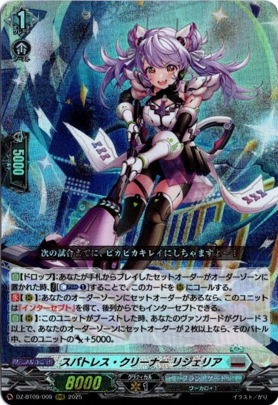 画像1: DZ-BT09 /009 RRR スパトレス・クリーナー リジェリア (1)