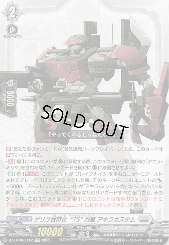 画像1: DZ-BT09 /EX12 EXC ゲリラ戦特化“TS” 烈華 アキラカスタム (1)