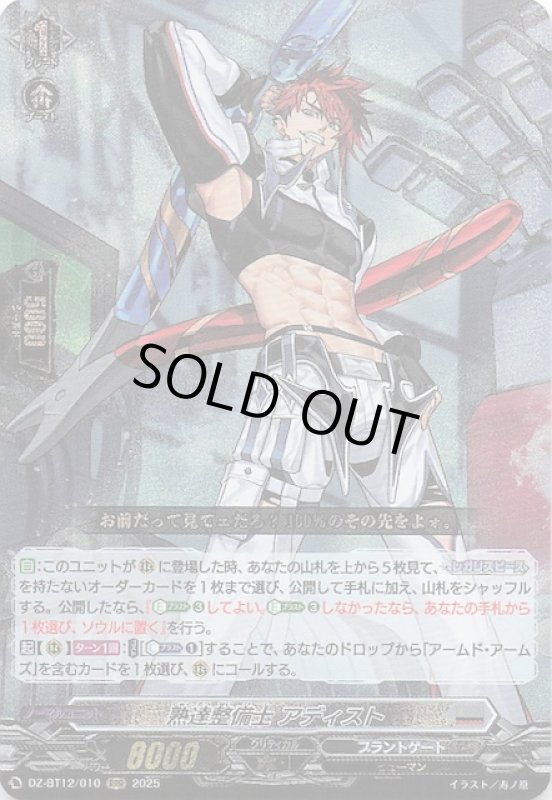 画像1: DZ-BT12/010 RRR 熟達整備士 アディスト (1)