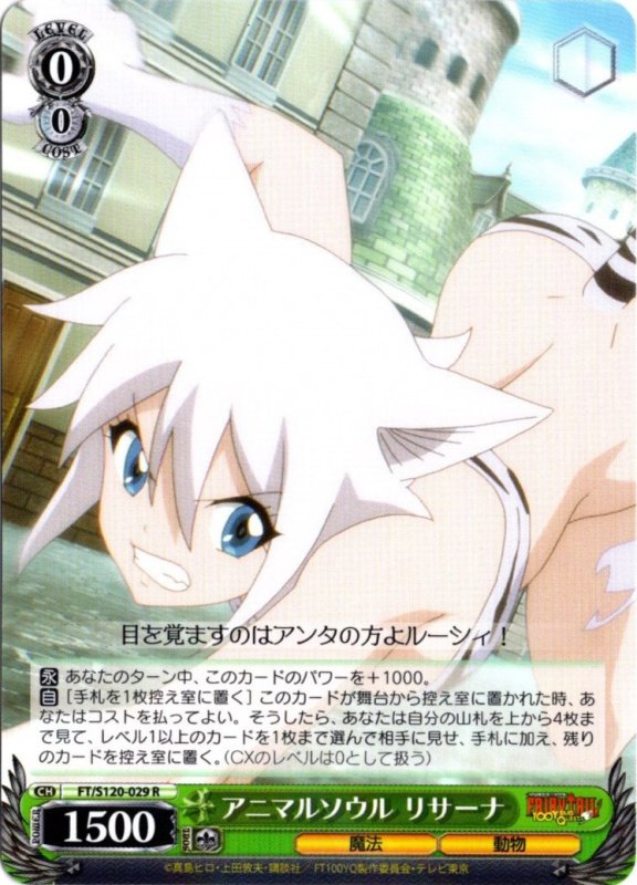 画像1: FT/S120-029 R アニマルソウル リサーナ (1)