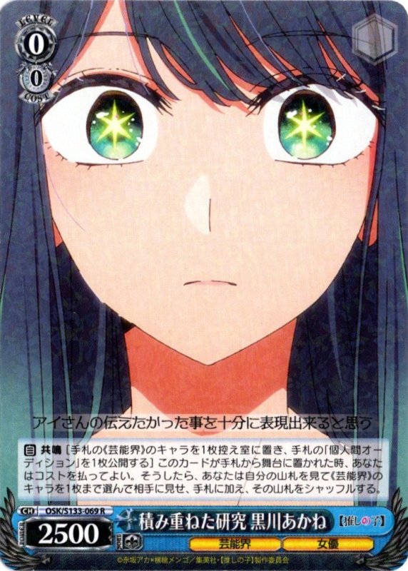 画像1: OSK/S133-069 R 積み重ねた研究 黒川あかね (1)