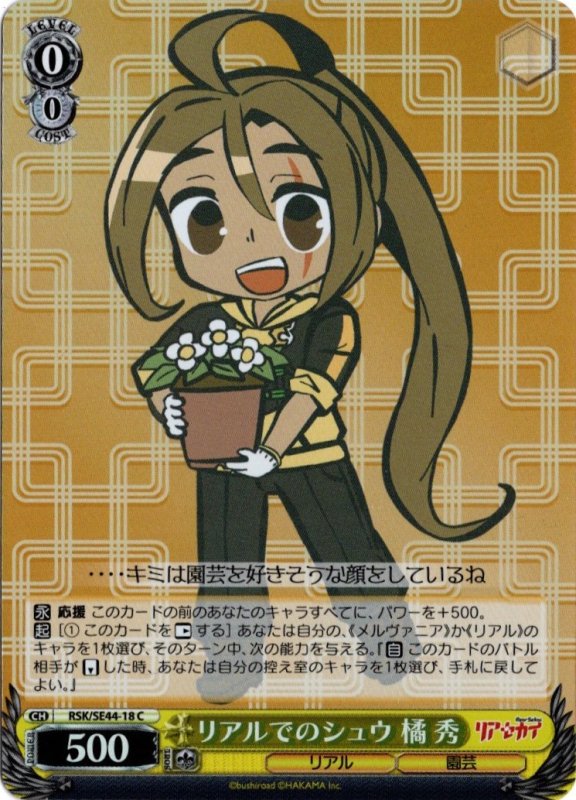 画像1: ホロ RSK/SE44-18 C リアルでのシュウ 橘 秀 (1)