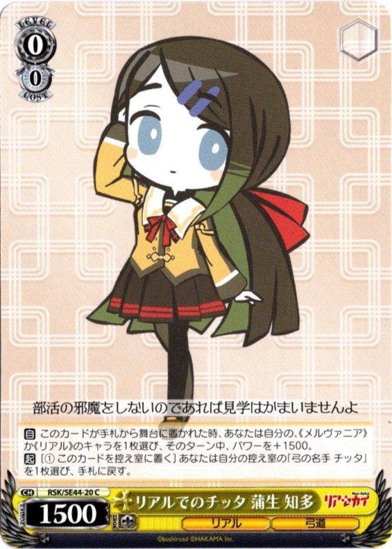 画像1: RSK/SE44-20 C リアルでのチッタ 蒲生 知多 (1)