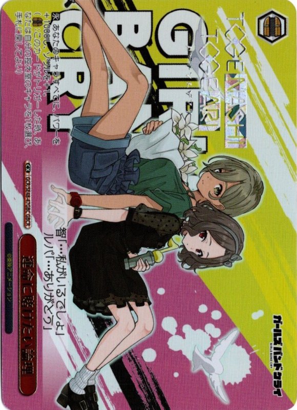 画像1: GCR/SE48-47GBC GBCR 運命に賭けたい論理 (1)