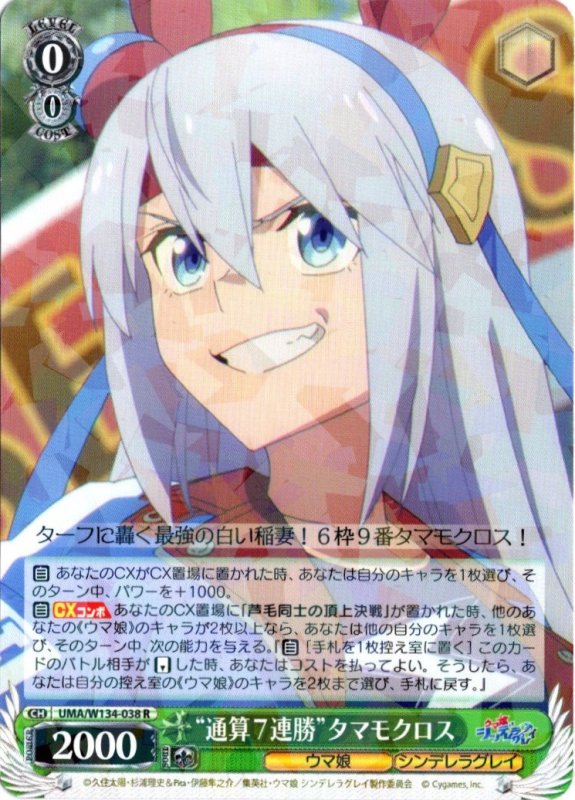 画像1: UMA/W134-038 R “通算7連勝”タマモクロス (1)