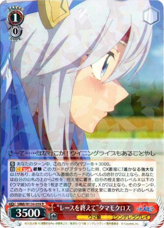 画像1: UMA/W134-059 R “レースを終えて”タマモクロス (1)