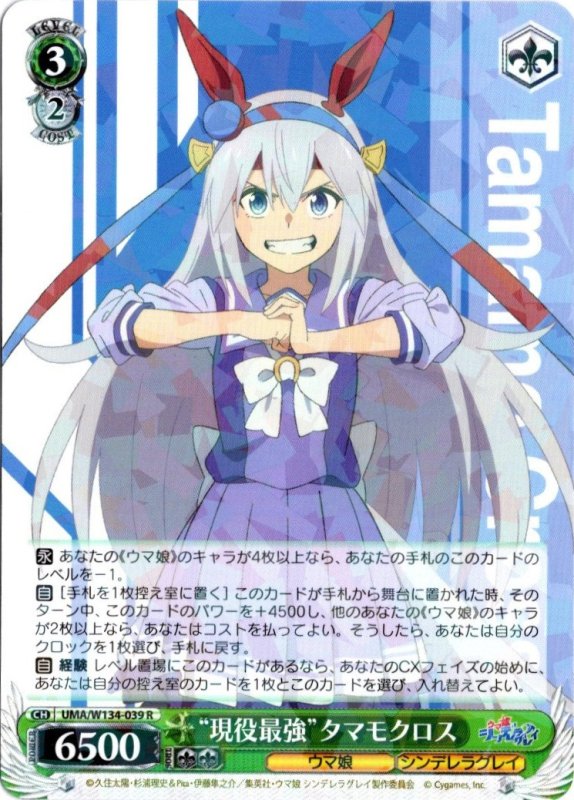 画像1: UMA/W134-039 R “現役最強”タマモクロス (1)