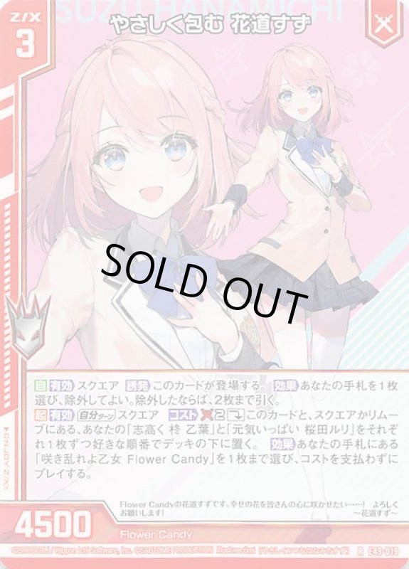 画像1: E49-019 R やさしく包む 花道すず (1)