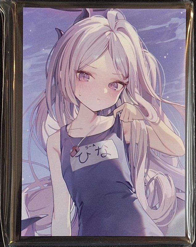 画像1: 混沌の女神様　カードスリーブ　ブルーアーカイブ スク水 ヒナ (1)