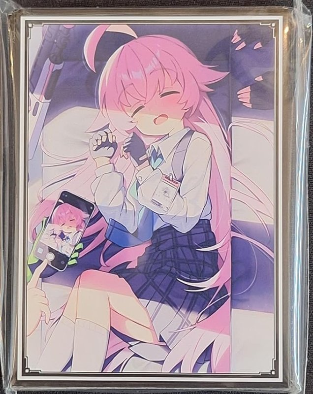 画像1: 混沌の女神様　カードスリーブ　ブルーアーカイブ ホシノ (1)
