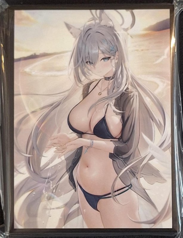 画像1: 白詰草　カードスリーブ　ブルーアーカイブ シロコテラー (1)