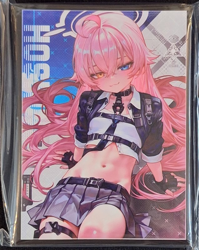 画像1: ミッドナイトブルー カードスリーブ　ブルーアーカイブ ホシノ (1)
