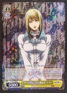 テラフォーマーズ テラフォーマーズ 1〜13セット