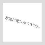 画像2: ブシロード デッキホルダーコレクション Vol.229 刀剣乱舞-ONLINE- 『今剣』 (2)