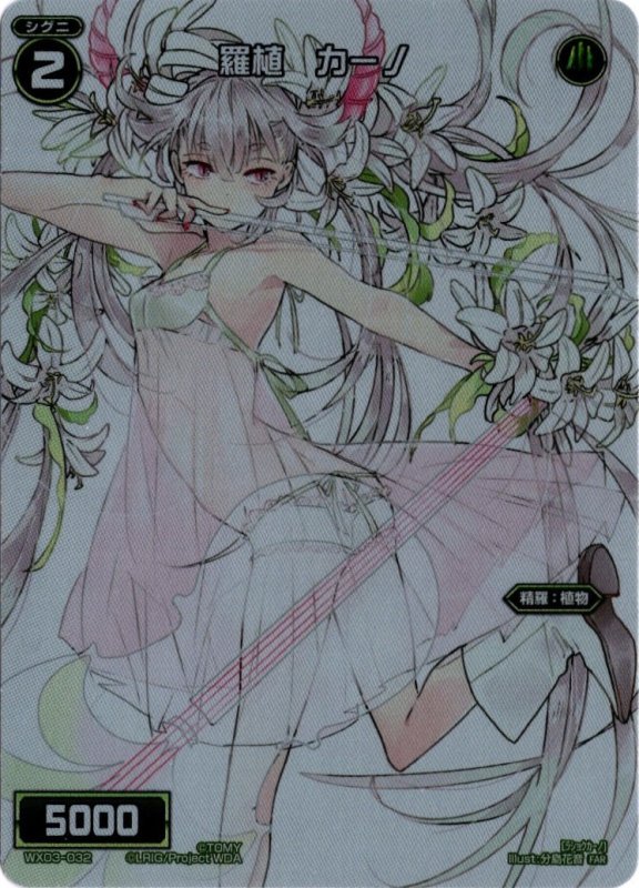 画像1: WX03-032 FAR 羅植　カーノ (1)