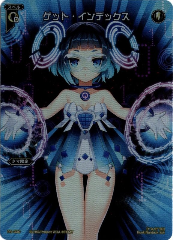 画像1: PR-030 FAR ゲット・インデックス (1)