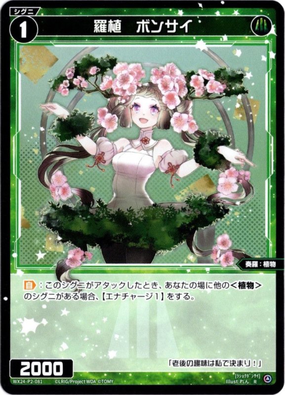 画像1: WX24-P2-081 R 羅植　ボンサイ (1)
