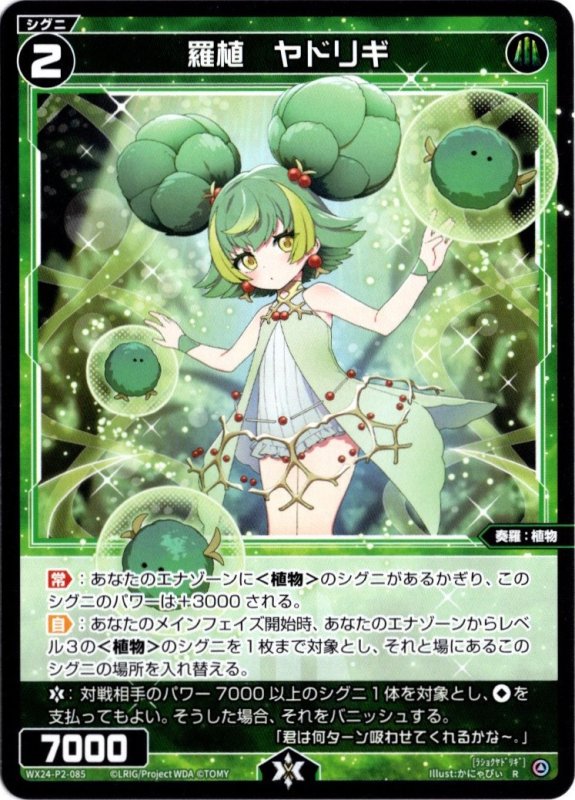 画像1: WX24-P2-085 R 羅植　ヤドリギ (1)