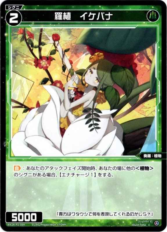 画像1: WX24-P2-084 C 羅植　イケバナ (1)