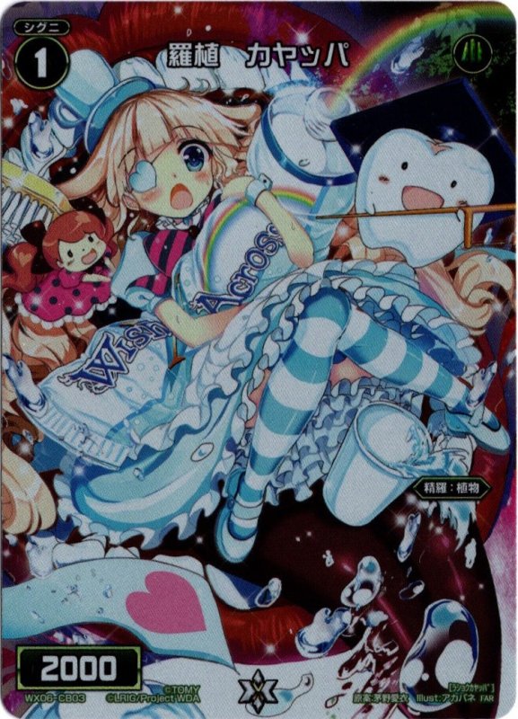 画像1: WX06-CB03 FAR 羅植 カヤッパ (1)