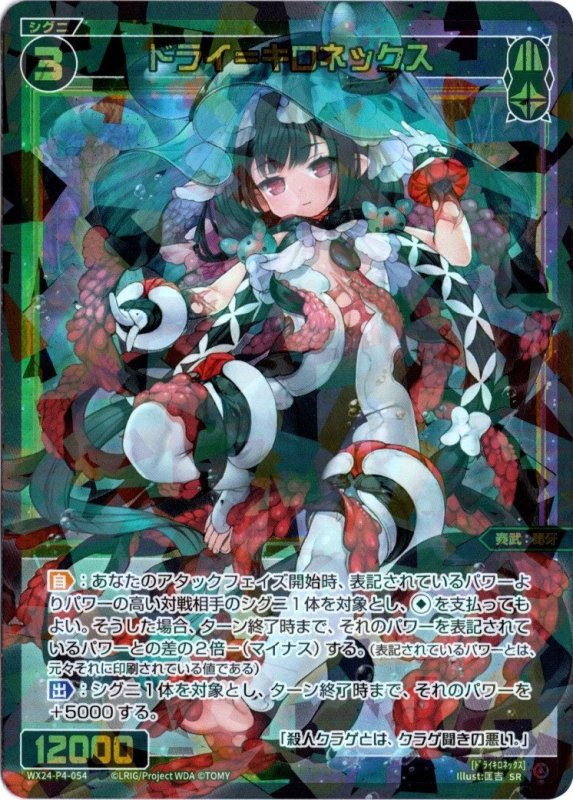 画像1: WX24-P4-054 SR ドライ＝キロネックス (1)