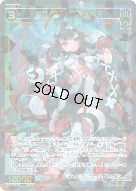 画像1: WX24-P4-054 SR ドライ＝キロネックス (1)