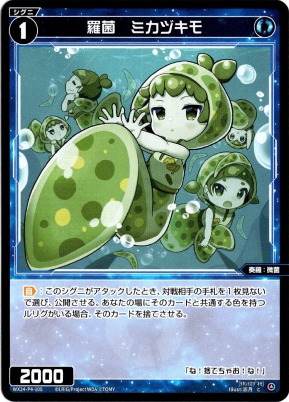 画像1: WX24-P4-105 C 羅菌 ミカヅキモ (1)