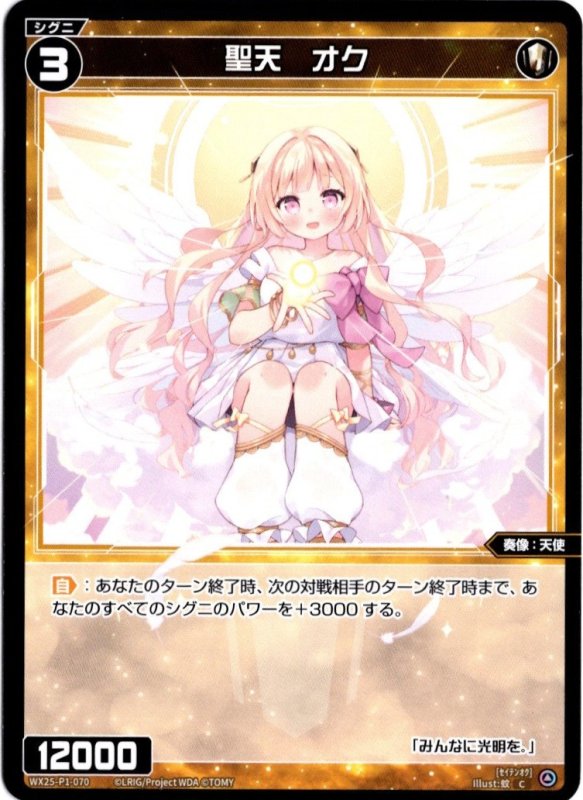 画像1: WX25-P1-070 C 聖天　オク (1)