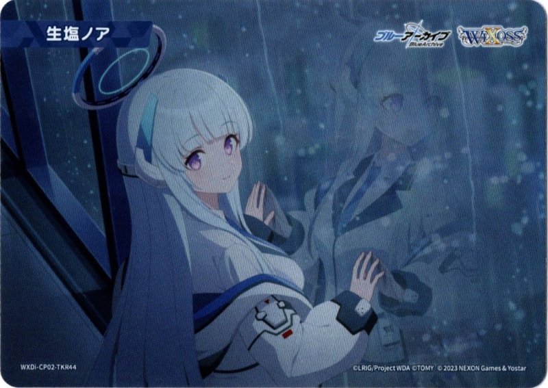 画像1: WXDi-CP02-TKR44 生塩ノア (1)