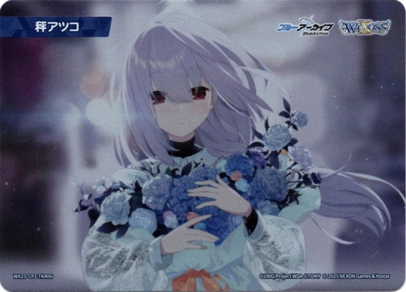 画像1: WX25-CP1-TKR06 秤アツコ (1)