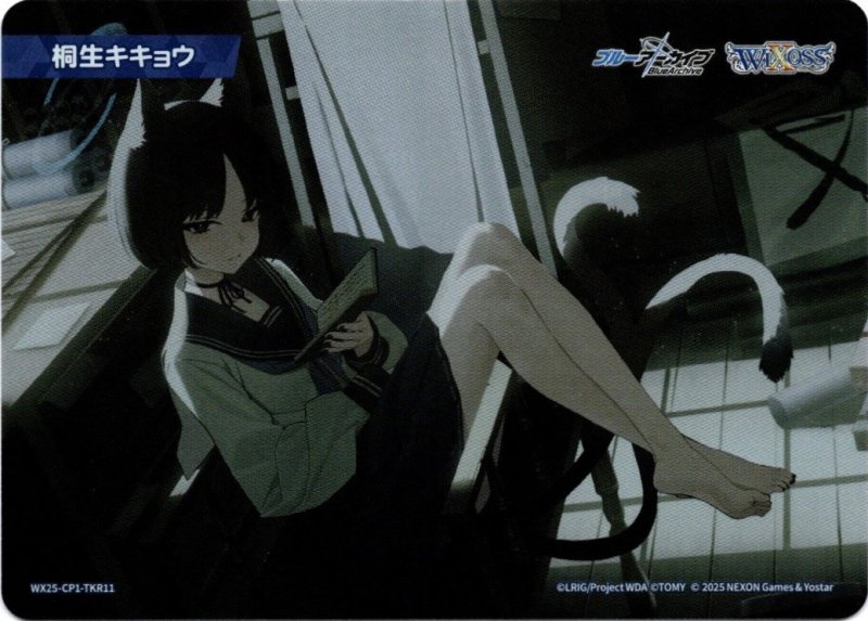 画像1: WX25-CP1-TKR11 桐生キキョウ (1)
