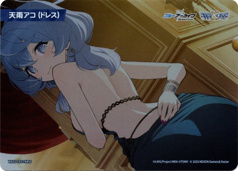 画像1: WX25-CP1-TKR55 天雨アコ(ドレス) (1)